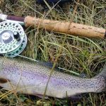 Fly Fishing For Summer Trout